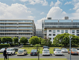 热卤拌面公司名字大全（精选220个）