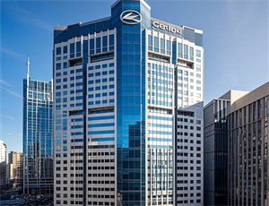 用雪梨起公司名字大全(精选100个)